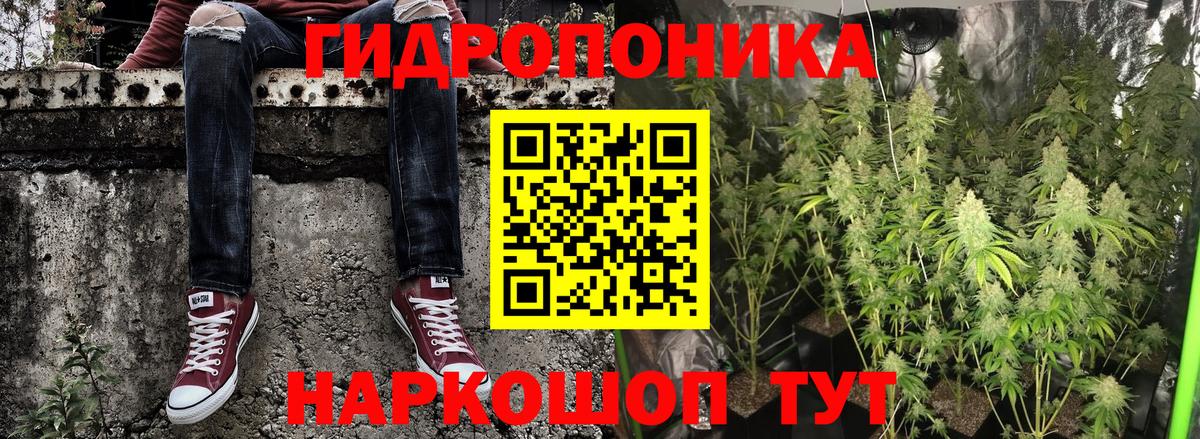 Каннабис план Омск